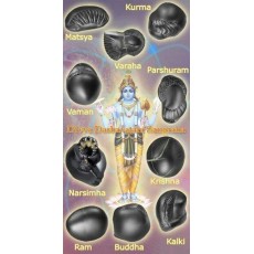 శ్రీ  మహావిష్ణు  యొక్క 24  అవతారాలు